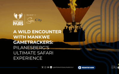 A Wild Encounter with Mankwe Gametrackers: Pilanesberg’s Ultimate Safari Experience