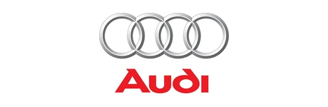 Audi Canarias - Official Mobility of the International Pairs 2026 World Final