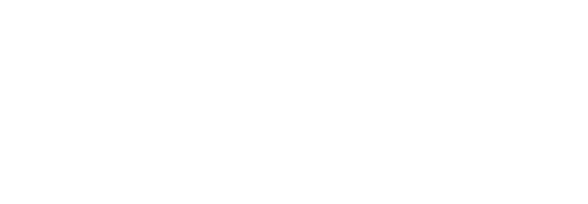 Audi Canarias